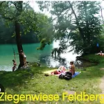 Camping Tipi Jurte Zelt In Der Seenplatte *