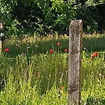 Camping Tipi Jurte Zelt In Der Seenplatte