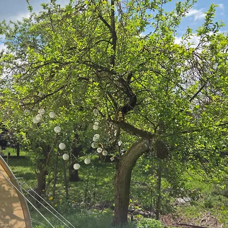 Tipi Jurte Zelt In Der Seenplatte Campsite